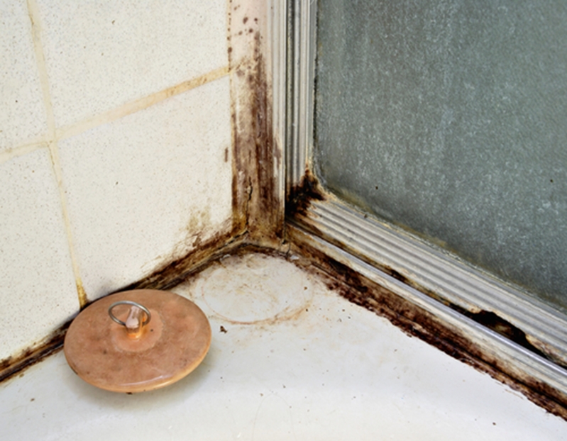 Mould can induce coughing, wheezing and sneezing. 
