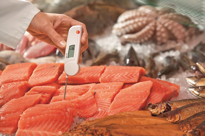 The testo 103 makes checking food temperatures seamless.